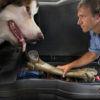Husky Liners 02-12 Dodge Ram 1500/03-12 Ram Quad Cab Husky GearBox - Image 5