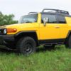 N-Fab Nerf Step 06-17 Toyota FJ Cruiser SUV 4 Door - Tex. Black - W2W - 2in