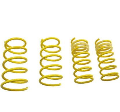 ST Sport-tech Lowering Springs 13 Scion FR-S / 13 Subaru BRZ - Image 2