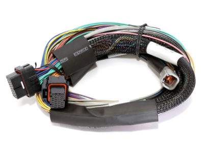 Haltech Elite 2500 Basic Universal Wire-In Harness ECU Kit - Image 3