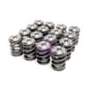 Skunk2 Alpha Series Honda/Acura K Series Valve Spring and Titanium Retainer Kit - Image 2