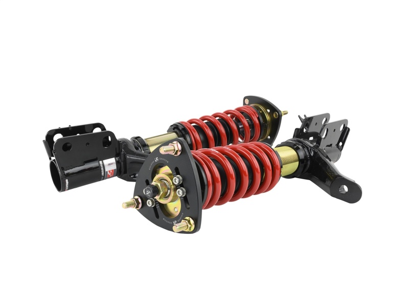 Skunk2 01-05 Honda Civic / 01-05 Acura Integra Pro-ST Coilovers (Front 10 kg/mm - Rear 10 kg/mm) - Image 3